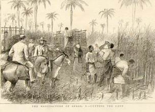 CFP: Locating Knowledge: Science and Technology in Commodity Frontiers