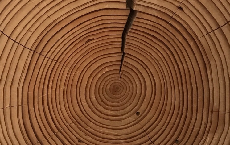 Changing Climates - Changing Histories: Perspectives from the Humanities