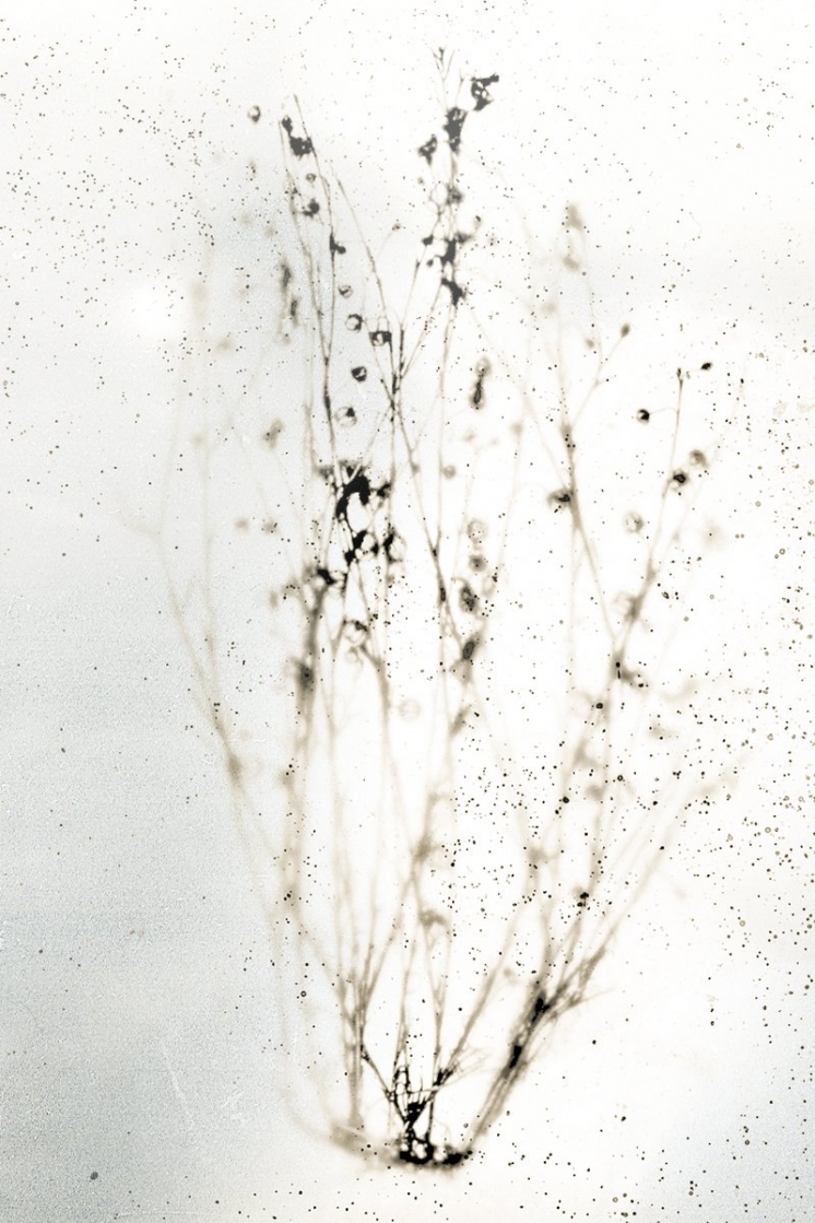 Energia do invisível - Michael Marder