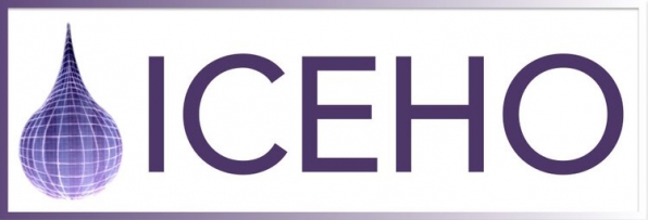 Open Call for Authors “Future Directions in Environmental History”