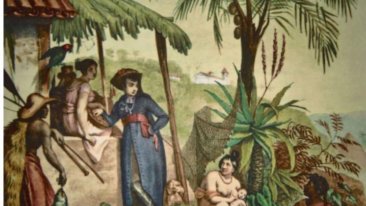 Agosto - Lançamento do livro "Animais e Sociedade no Brasil dos séculos XVI a XIX"