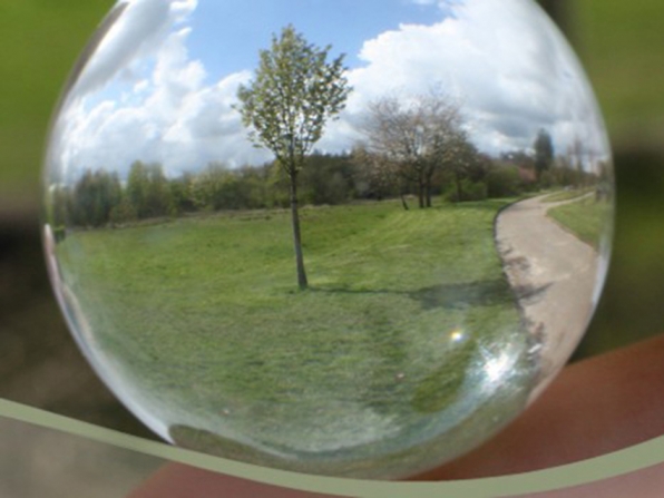 Position Announcement: Director of Graduate Programs in Environment and Society (full-time)