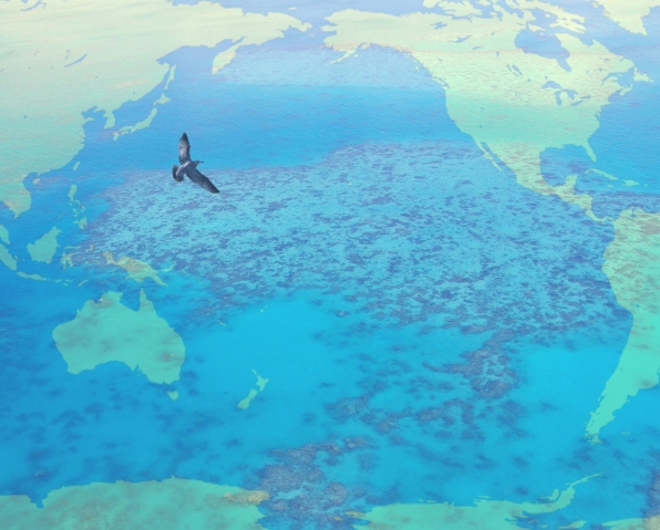 CfP: The Environmental History of the Pacific World (Sun Yat Sen University, Guangzhou, China, 24-26 May 2018)