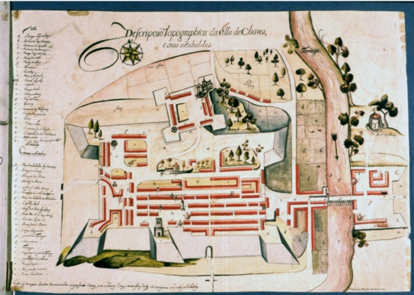 NEW! Environmental Stories