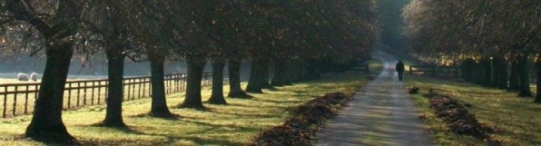 IV Congresso Internacional | «Soberania Alimentar»