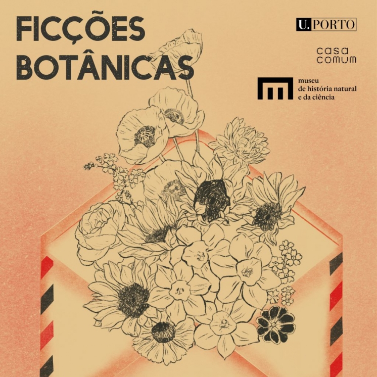 Ficções botânicas # 8: À moda do Norte