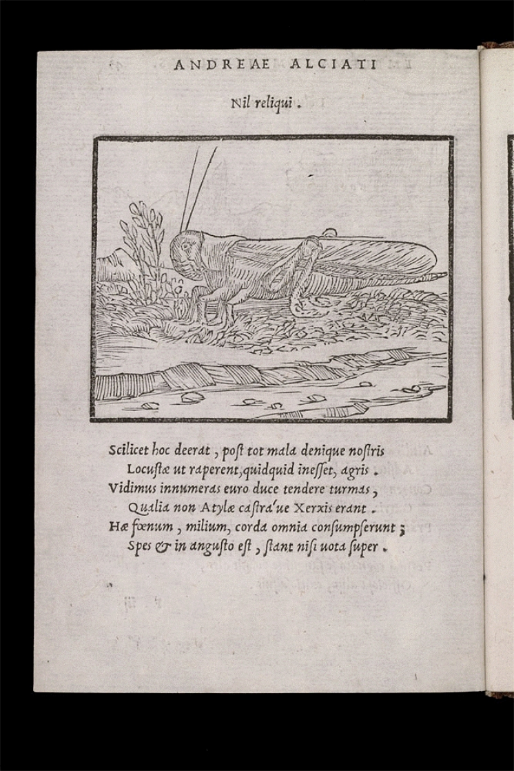 “ILLUSTRATED NEWS” OF A LOCUST PLAGUE IN THE 16TH CENTURY – EMBLEM BOOKS AS A SOURCE FOR ENVIRONMENTAL HISTORY