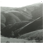 Roças and queimadas: Changing Landscapes of Fire in Twentieth-Century Portugal