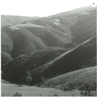 Roças and queimadas: Changing Landscapes of Fire in Twentieth-Century Portugal