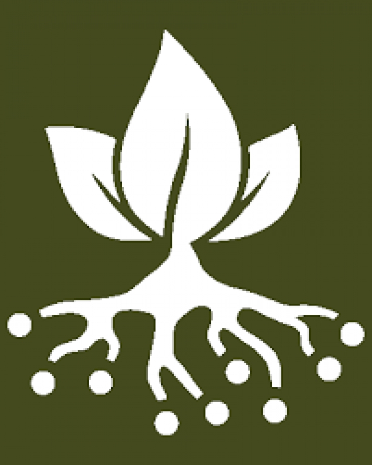 Plant Humanities Summer Program at Dumbarton Oaks