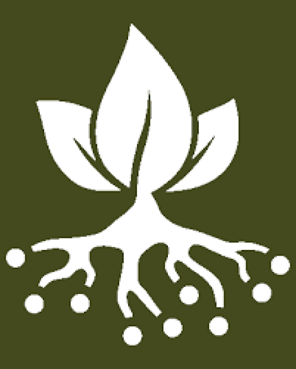 Plant Humanities Summer Program at Dumbarton Oaks