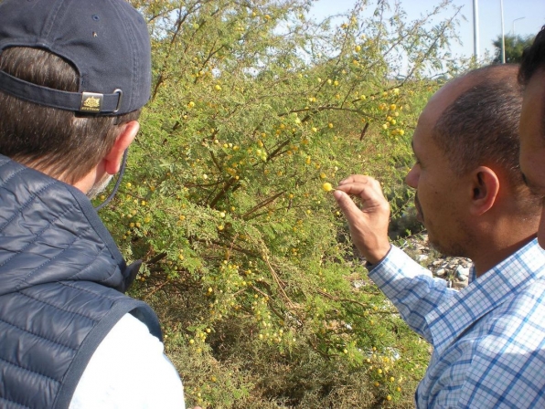 ESEH - Postcards for Unstable Times