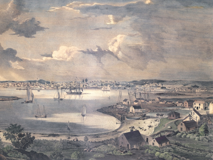 Simpósio: Architecture Follows Fish